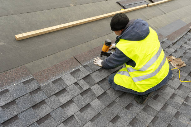 Best Roof Gutter Cleaning  in New Union, TN