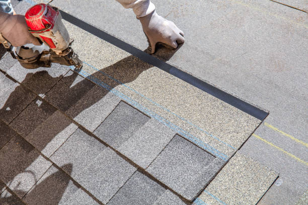 Best Roof Leak Repair  in New Union, TN