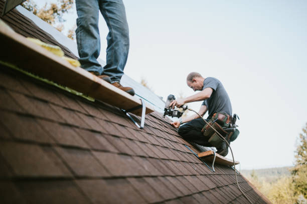 Best Roof Repair Estimates  in New Union, TN